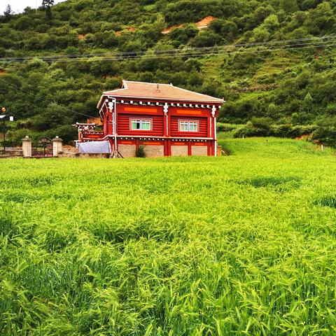 藏地旅行图最新，探索神秘高原的全新视角