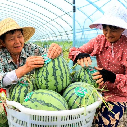 庐江县最新照片——探索美丽乡村的魅力