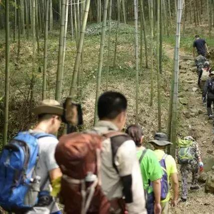 探索湖州之美——最新湖州地图全图解读