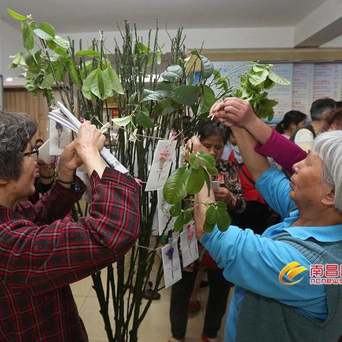 新丰县最新新闻报道