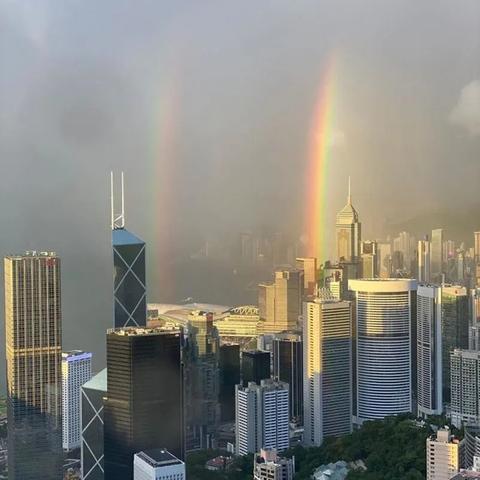 香港最新天气观察与解读