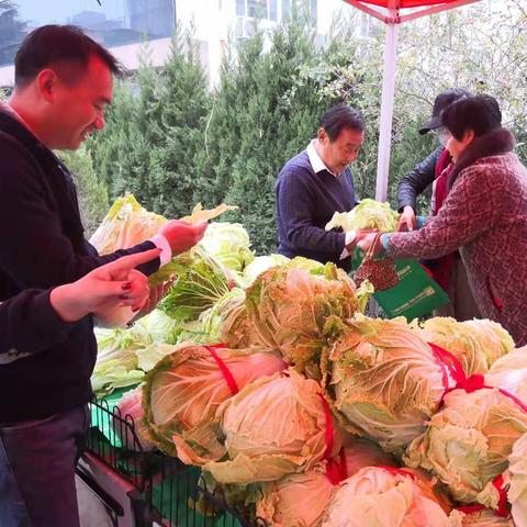 鲁山天气预报最新，气候变迁与日常生活的紧密联系